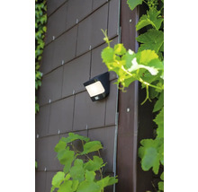 Lampa solară pe un perete al casei cu placaj din cărămidă și plante