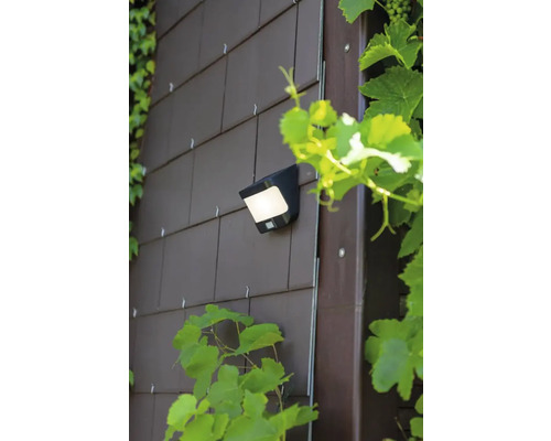 Lampa solară pe un perete al casei cu placaj din cărămidă și plante