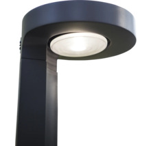 Stâlp solar cu LED Lutec Diso 200 lumeni 4000K, senzor de mișcare, plastic