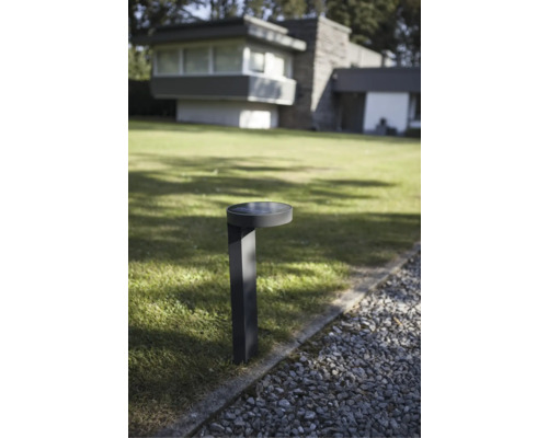 Scenă de grădină cu o lampă de cale metalică pe un gazon