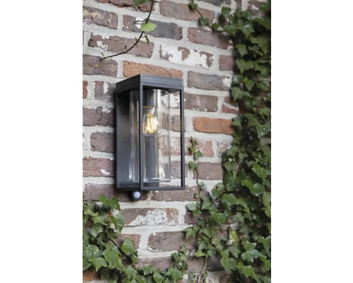 Lumină de perete exterioară cu senzor de mișcare pe un zid de cărămidă cu iederă