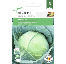 Semințe legume Agrosel varză Victoria PG3-thumb-0