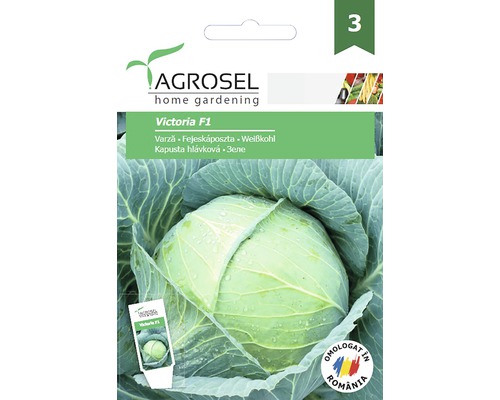 Semințe legume Agrosel varză Victoria PG3