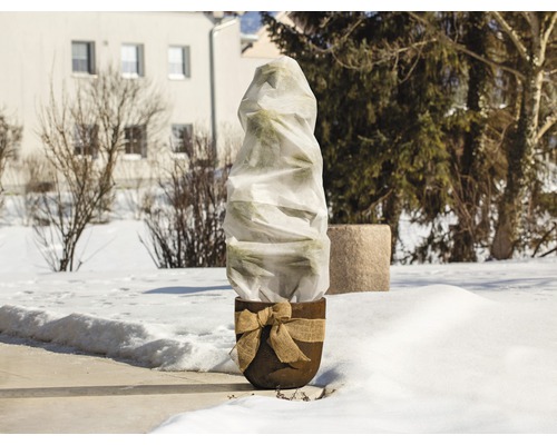 Plantă în ghiveci cu protecție de iarnă în grădină.