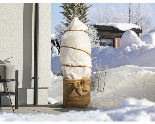 Copac plantat cu husă de protecție de iarnă în grădină în zăpadă.