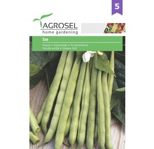 Pachet de semințe fasole pitică Iza