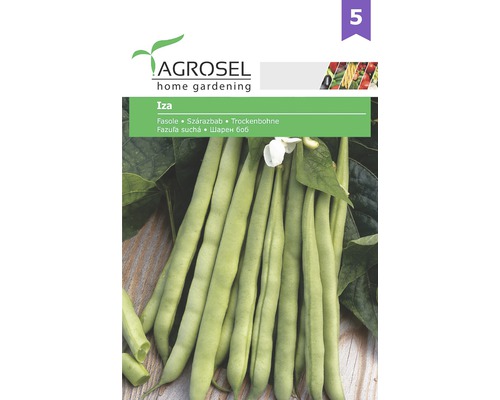 Semințe legume Agrosel fasole IZA