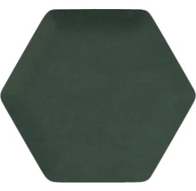 Placă de pavaj hexagonală