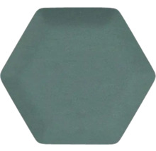 Placă hexagonală