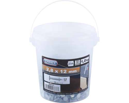 Set cuie acoperiș 1000 bucăți Connex 2,8x12 mm Set cuie acoperiș 1000 bucăți Connex 2,8x12 mm