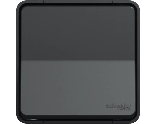 Sigla Schneider Electric lângă o inserție de comutator