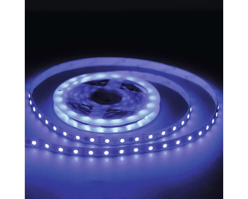 Set 2 benzi LED RGB QL Lighting 5m 72W, incl. telecomandă, | HORNBACH