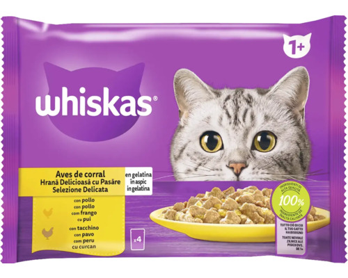 Hrană umedă pentru pisici Whiskas Adult cu pasăre în aspic 4x85 g Hrană pentru pisici Whiskas pentru pisici de peste un an, păsări de curte în aspic, multipack