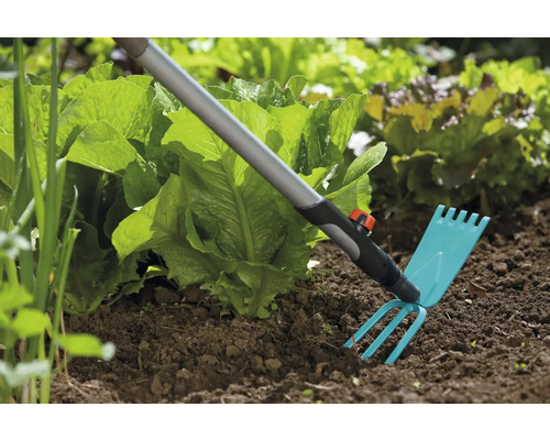 Unealtă de grădinărit pentru lucrarea solului lângă plantele de salată din grădină.