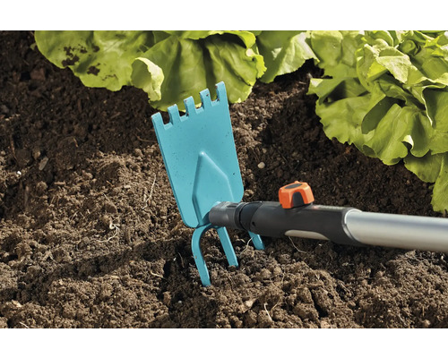 Săpăligă de grădină folosită în pământ lângă plantele de salată.
