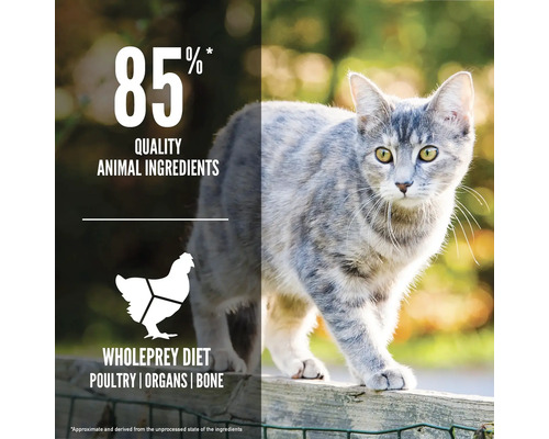 Hrană pentru pisici cu 85% ingrediente de origine animală și carne de pasăre, organe și oase conform principiului Wholeprey.