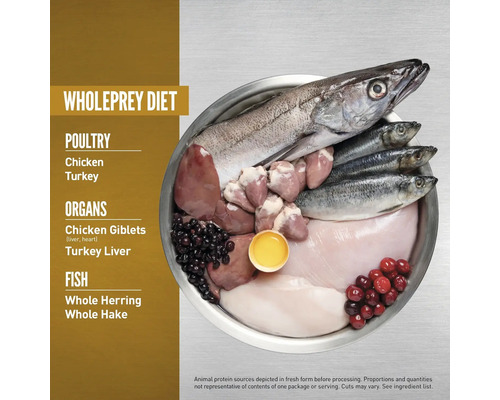 Ilustrație a unei hrane adecvate pentru câini cu carne de pasăre, organe și pește