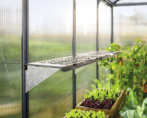 Raft în seră pentru cultivarea plantelor