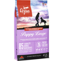 Orijen Puppy Large hrană uscată pentru căței în ambalaj de 11.4 kilograme