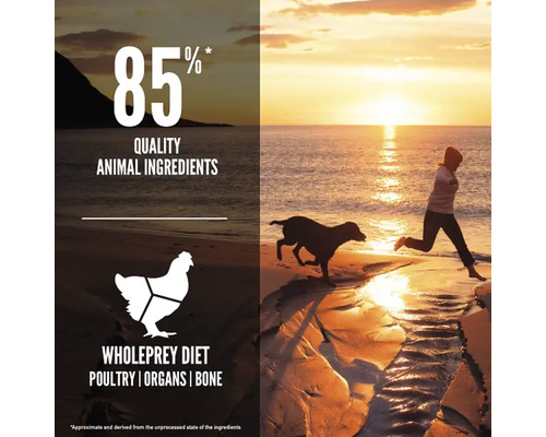 Hrană pentru câini cu 85% ingrediente de origine animală, carne de pasăre, organe și oase pentru o dietă Wholeprey.