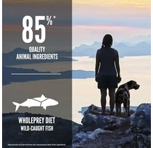 Ilustrație cu hrană pentru câini cu 85% ingrediente de origine animală și indicația Wholeprey Diet Wild Caught Fish.