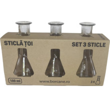 Set de trei sticle de sticlă de 100 mililitri în ambalaj de carton