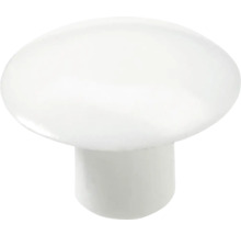 Buton de mobilă din plastic