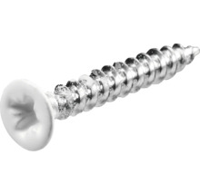 Șurub metalic cu cap lenticular