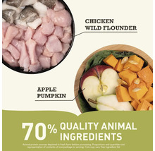 Ingrediente pentru hrana animalelor: pui, cambulă, măr și dovleac