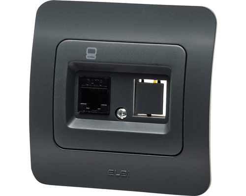 Priza de date ELBI, priză de rețea