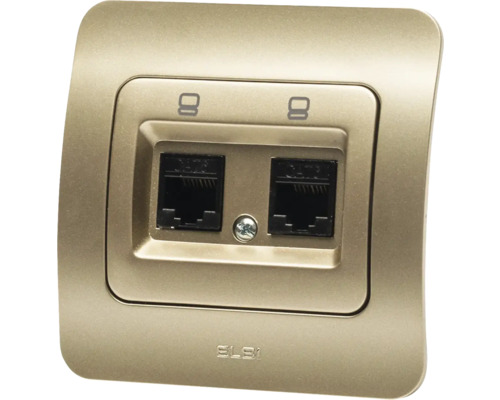 Priza dublă de rețea pentru montaj pe perete