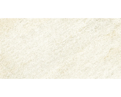 Prim-plan cu un gresie deschisă la culoare, cu suprafață aspră