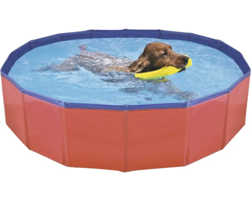 Piscină câini Ø 120 cm H 30 cm roșu/albastru Piscină câini Ø 120 cm H 30 cm roșu/albastru