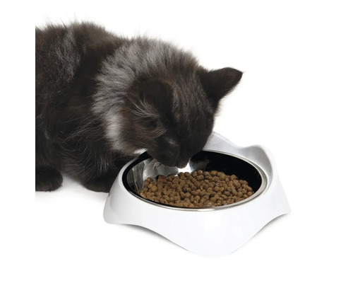 O pisică mănâncă dintr-un castron alb pentru hrană pentru pisici.