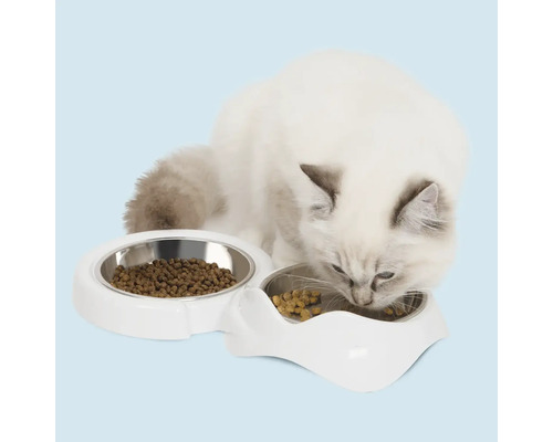Pisică mănâncă dintr-un bol dublu cu mâncare