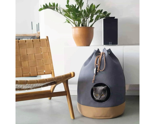 Pisică în vizuină de pisică lângă un scaun și plante de interior