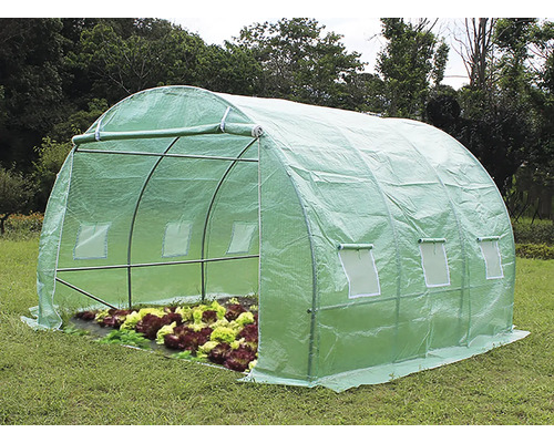 Seră cu folie și salată în grădină