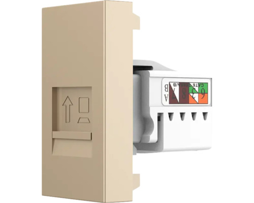 Priza de rețea cu modul de conectare