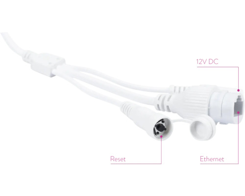 Cablu cu buton de resetare, Ethernet și conector 12V DC