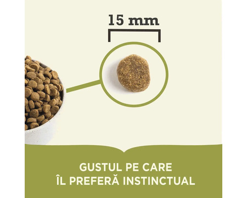 Prim-plan cu bucăți de hrană pentru câini de 15 mm