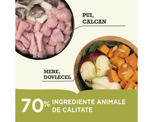 Ingrediente pentru hrana animalelor: carne de pasăre, pește, mere și dovleac.