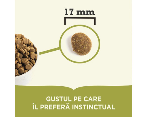 Ilustrație a dimensiunii hranei uscate pentru câini cu un diametru de 17 milimetri