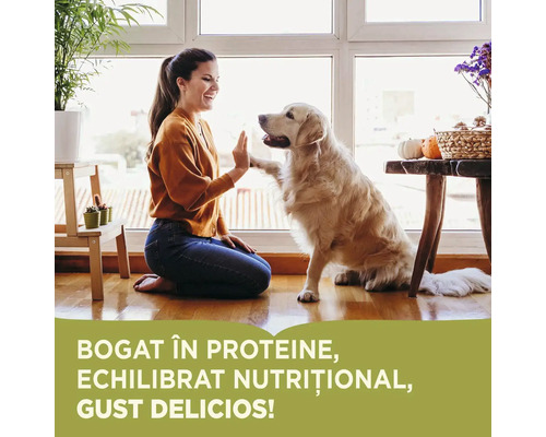 Femeie dă un high-five unui Golden Retriever într-o sufragerie luminoasă.