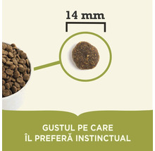 Prim-plan cu hrană uscată pentru câini cu dimensiunea de 14 milimetri