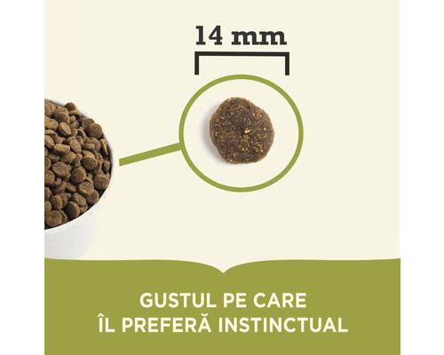 Prim-plan cu hrană uscată pentru câini cu dimensiunea de 14 milimetri