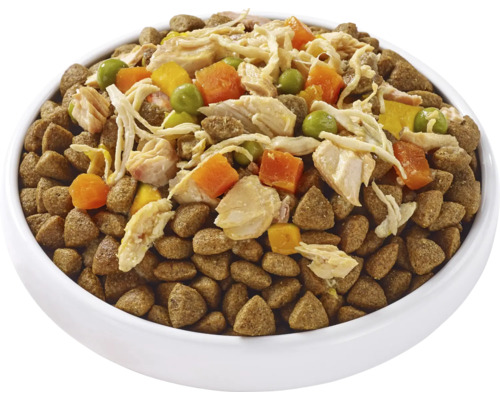 Mâncare pentru câini într-un castron alb