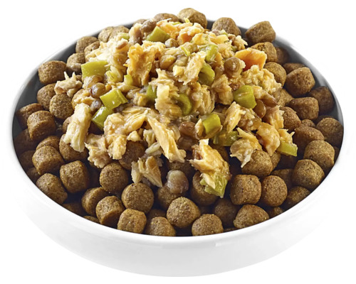 Mâncare pentru câini într-un castron cu pește și legume