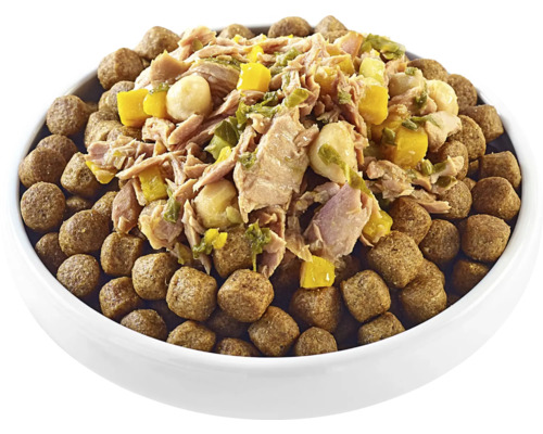 Mâncare pentru câini cu ton și legume într-un bol