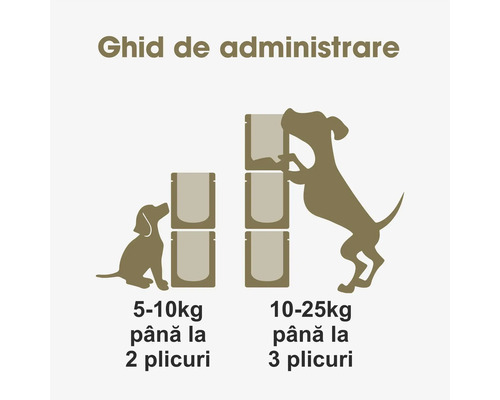 Ghid de administrare pentru câini, bazat pe greutate și numărul de plicuri cu hrană.