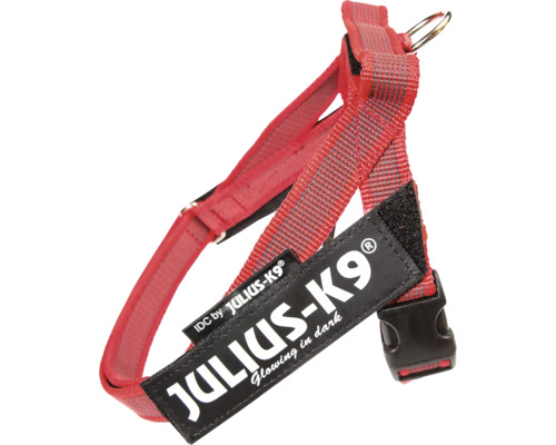 Ham JULIUS-K9 IDC mărimea Mini-Mini 40-53 cm roșu Ham JULIUS-K9 IDC mărimea Mini-Mini 40-53 cm roșu